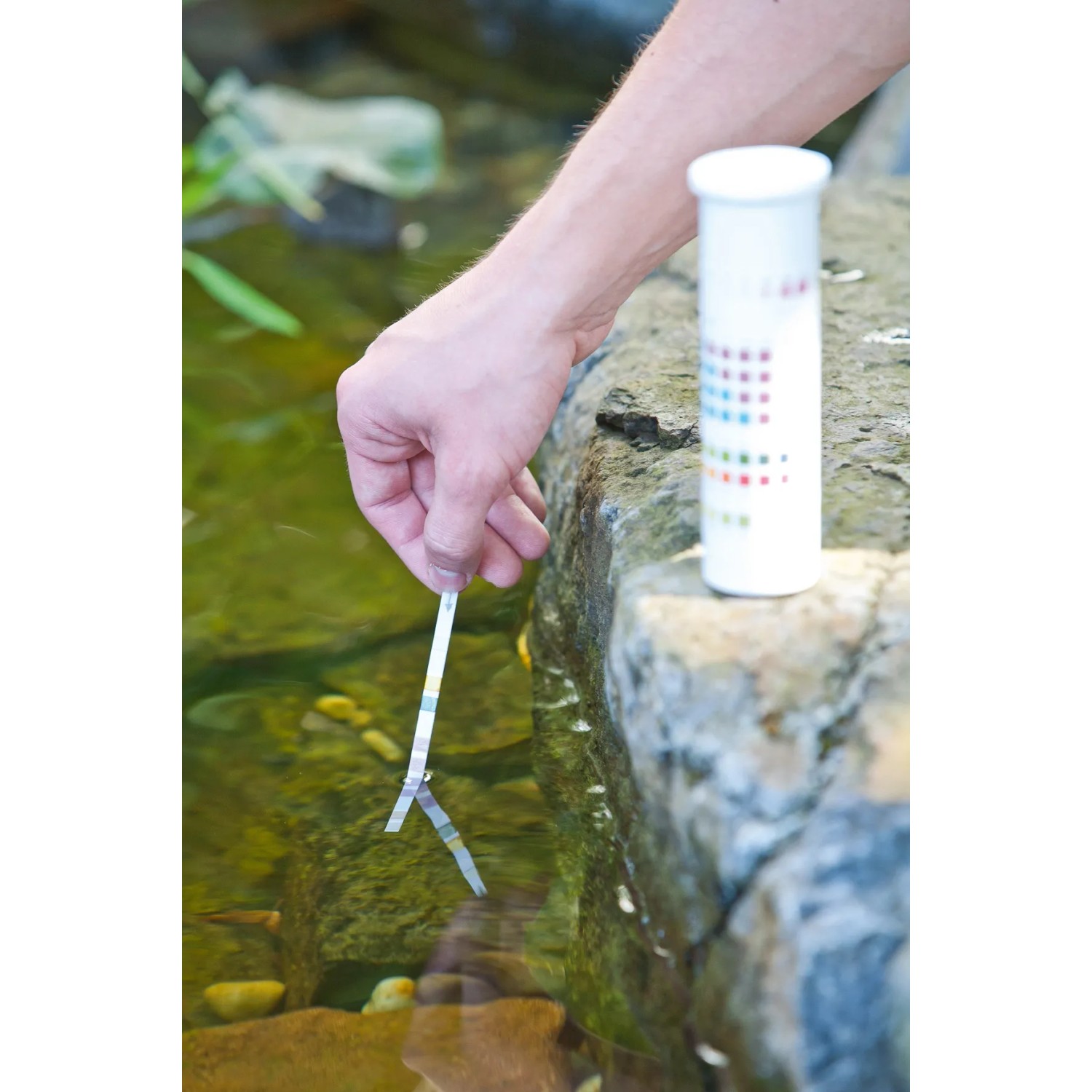 Heissner Schnelltest 6in1: Hand taucht Teststreifen in Teichwasser, Analyse der Wasserwerte.