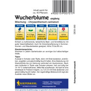 Samentüte Kiepenkerl Wucherblume 'Mischung', farbenfrohe Beet- und Schnittblume.