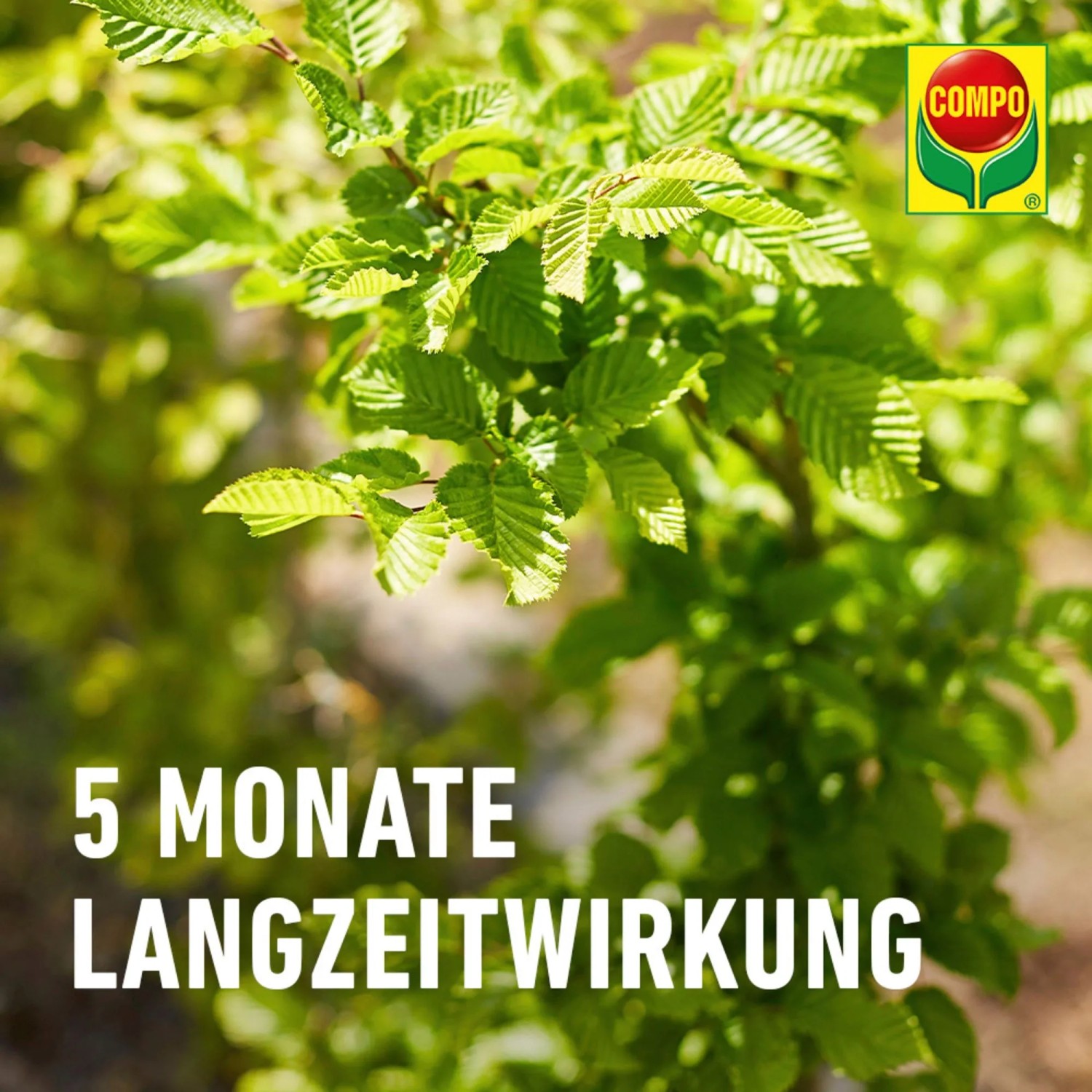 Compo Bio Gehlz Langzeit-Dnger 2 kg kaufen bei OBI