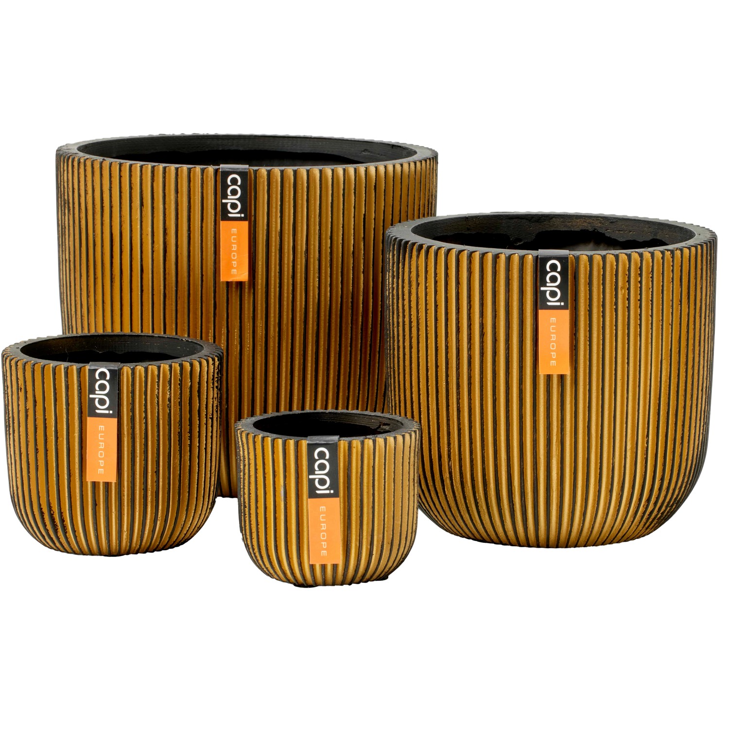 Capi Gemischte Box: 4 goldene Übertöpfe der Serie Groove mit vertikalen Rillen.