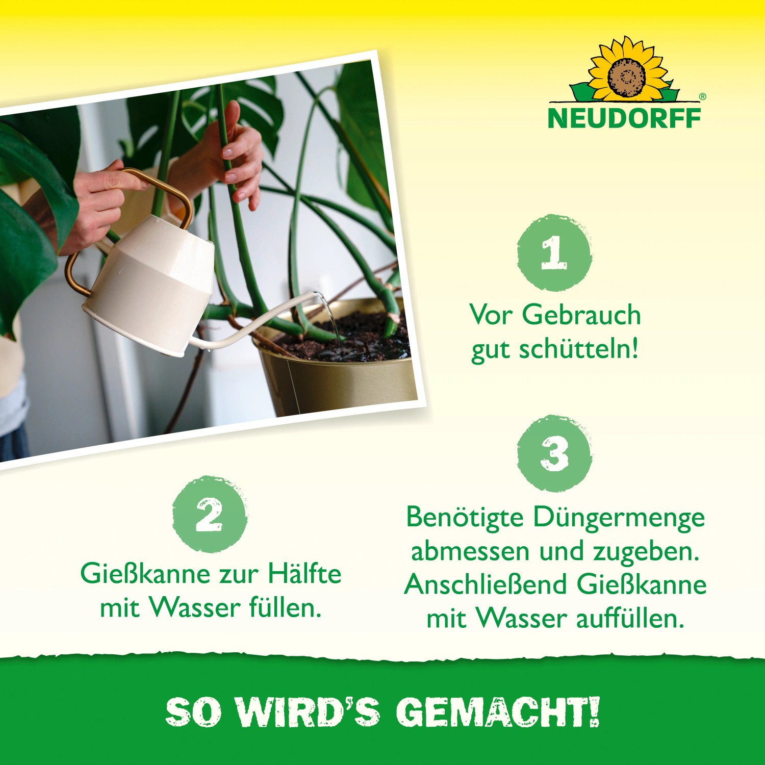 Anwendung des Neudorff Azet Plus Grünpflanzen-Düngers: Gießkanne befüllen und Zimmerpflanze düngen.