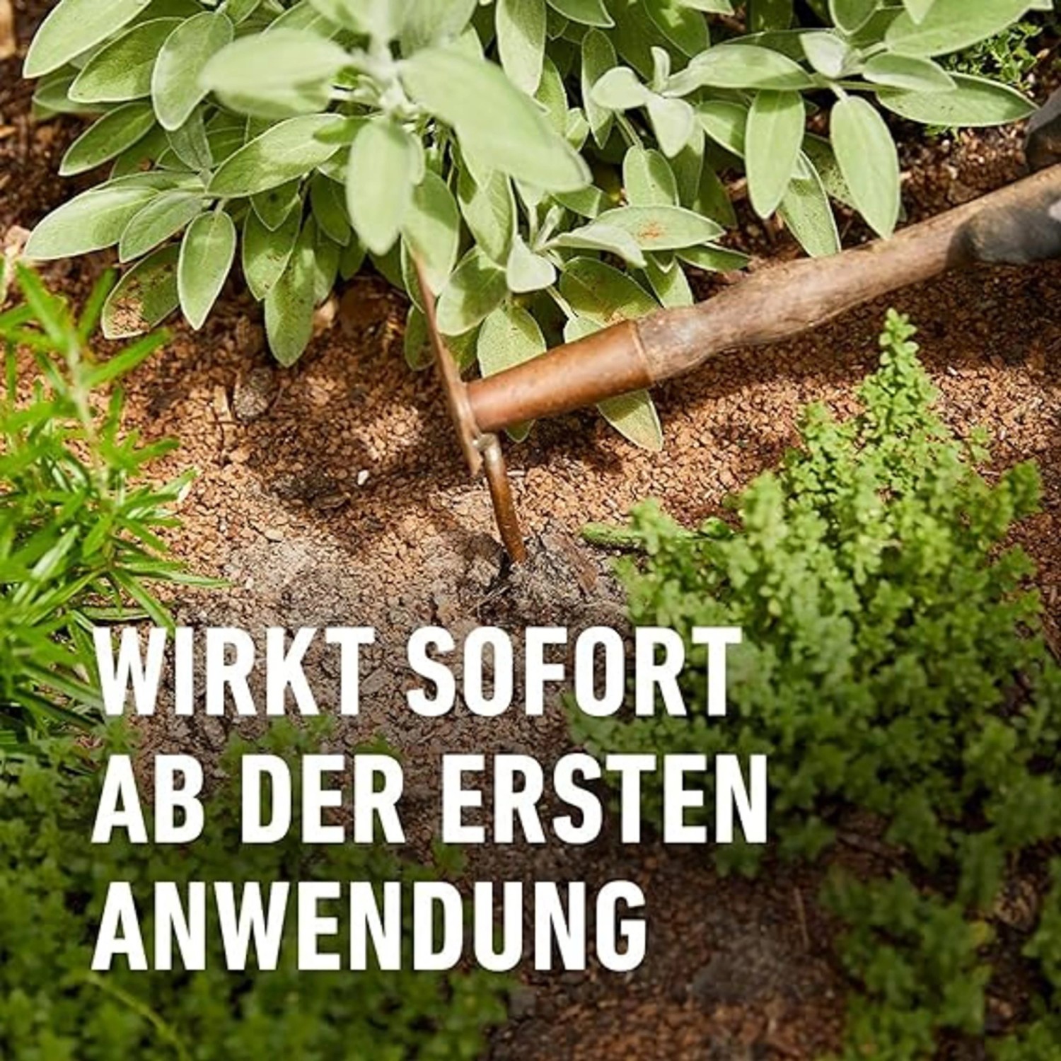 Compo Bio Kräuterdünger 500 ml_6