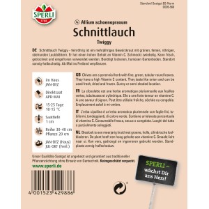 Sperli Schnittlauch Twiggy Samenpackung, vitaminreich und feinröhrig.