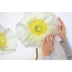 Komar Wandsticker Pavot Blanc (70x50cm) mit weißen Mohnblumen, angebracht an einer Wand.