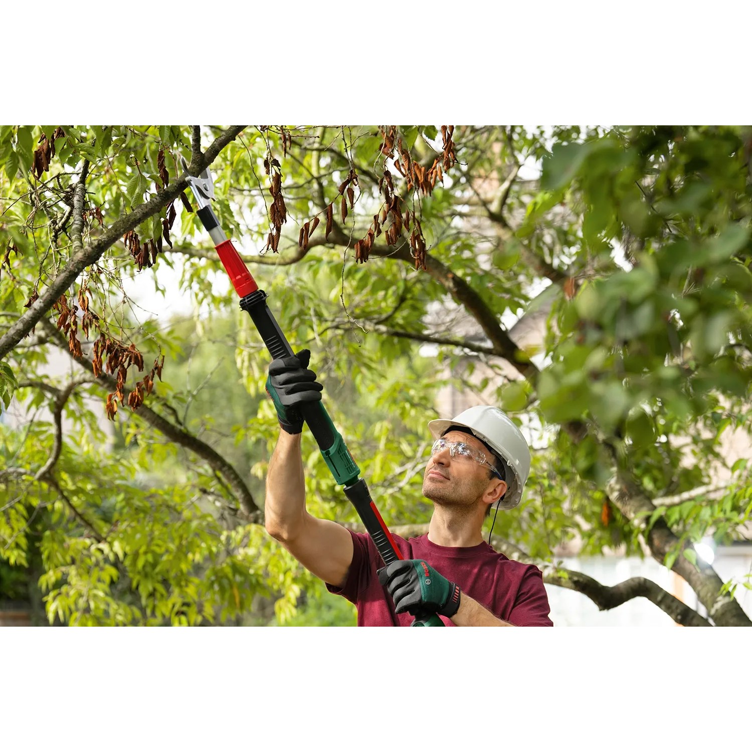 Mann schneidet Ast mit Bosch Akku-Baumschere Advanced Prune 18V-45 mit Verlängerung.
