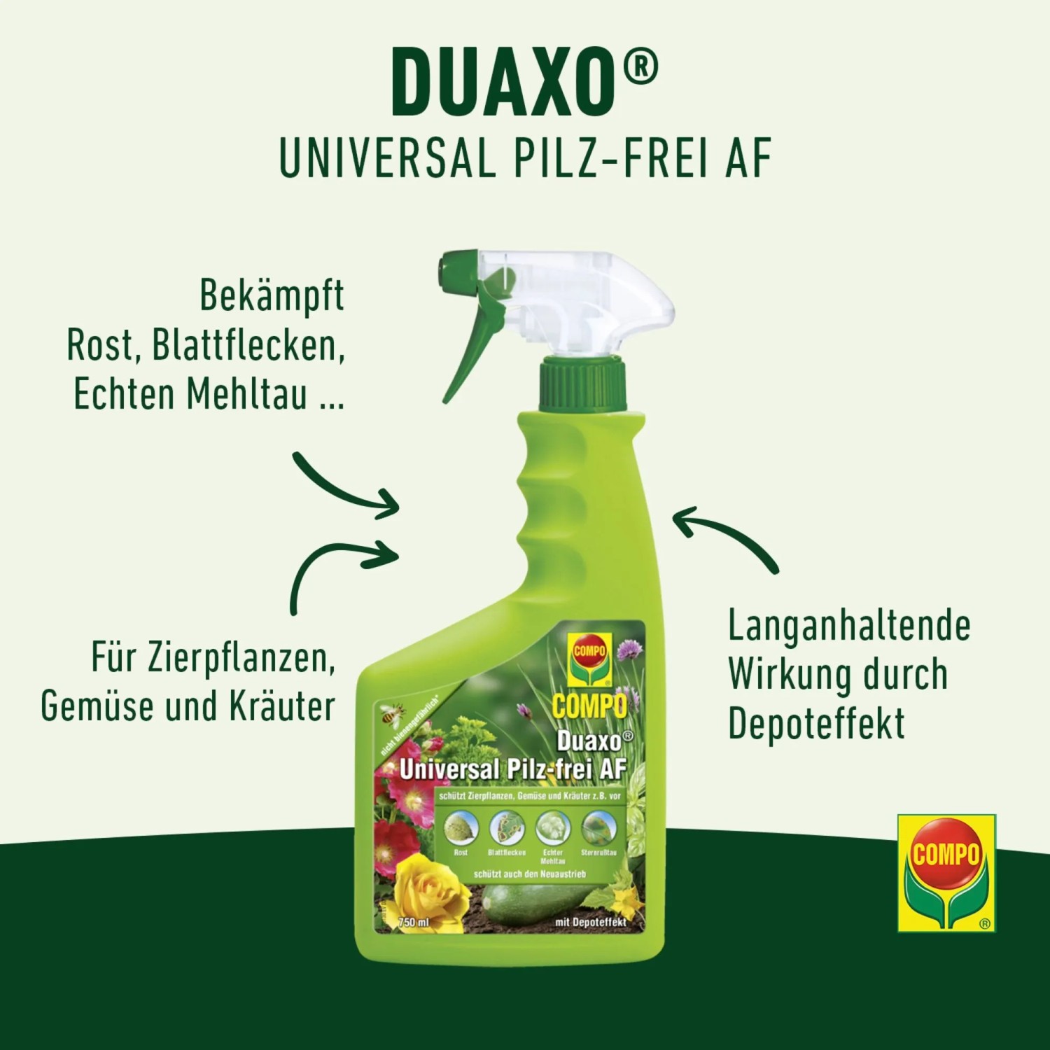 Compo Duaxo Universal Pilz-frei AF 750 ml kaufen bei OBI