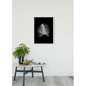 Komar Wandbild Feather Black, 50x70 cm, Feder-Motiv im weißen Rahmen.