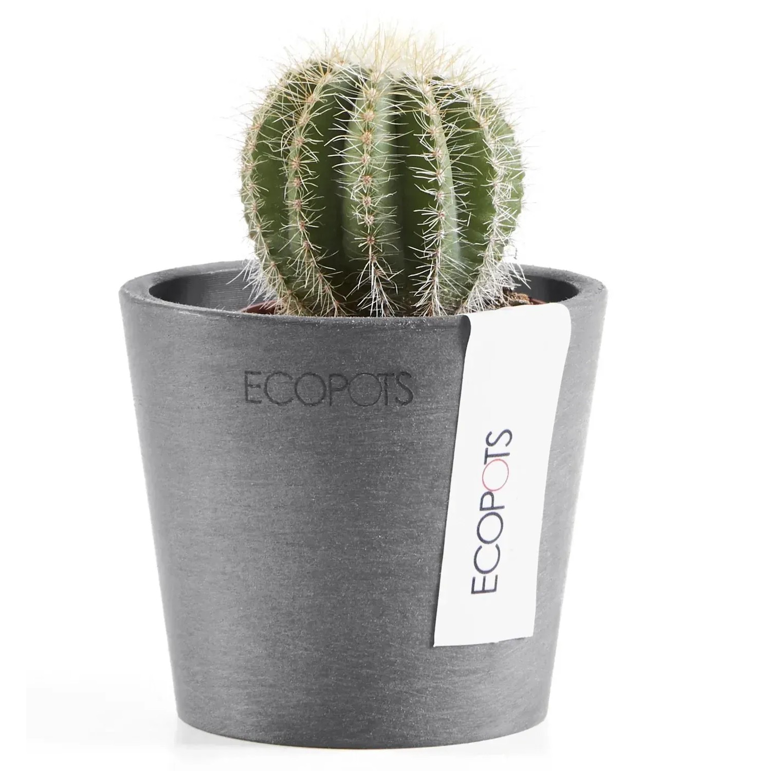 Ecopots Pflanztopf Amsterdam Mini Grau 8 cm kaufen bei OBI