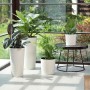 Weiße Siena Garden Blumentöpfe 'Modern Lens' mit Pflanzen, verschiedene Größen.