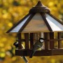 Dobar Design Vogelhaus Camouflage mit zwei Meisen im Garten.