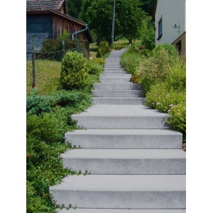 Graue Diephaus Blockstufen führen durch einen Garten nach oben.