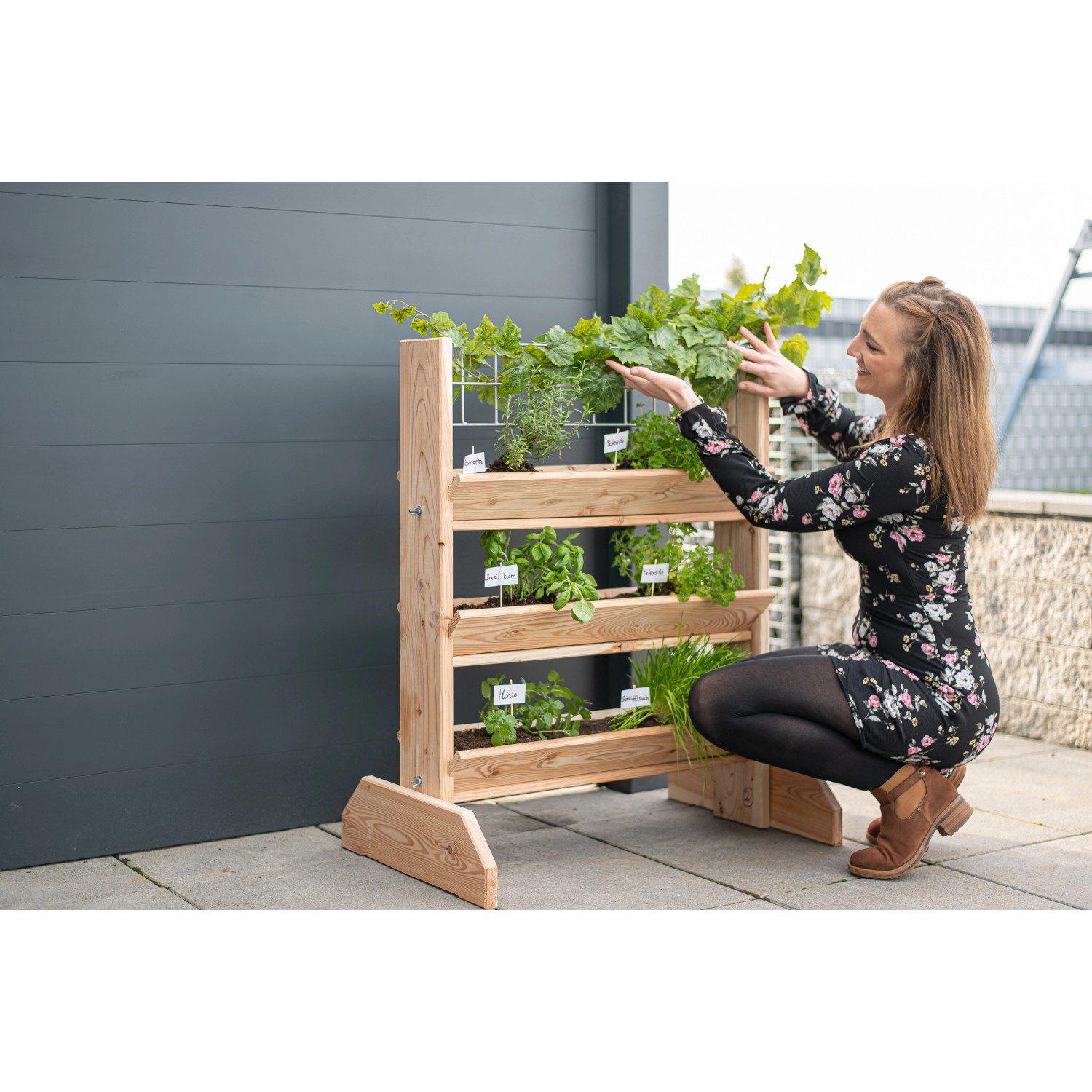 Westmann Kräuterregal Premium L mit Rankgitter aus Lärchenholz, bepflanzt mit Kräutern und Gemüse.