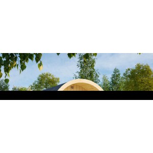 Palmako Sauna Anita Naturbelassen 220 cm x 290 cm