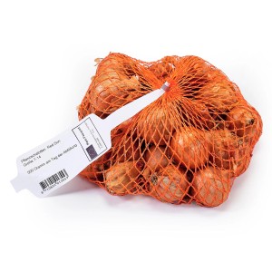Netz mit Pflanzschalotten Red Sun, 500g, ideal zum Anpflanzen im Garten.