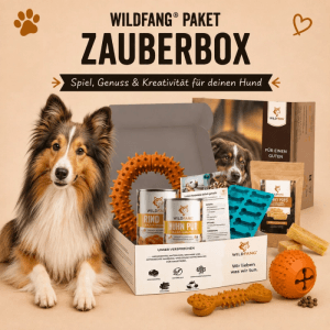 Wildfang Paket Zauberbox S