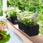Lechuza Balconera Cottage 50, graphitschwarzer Blumenkasten mit Bewässerungssystem und Bepflanzung.