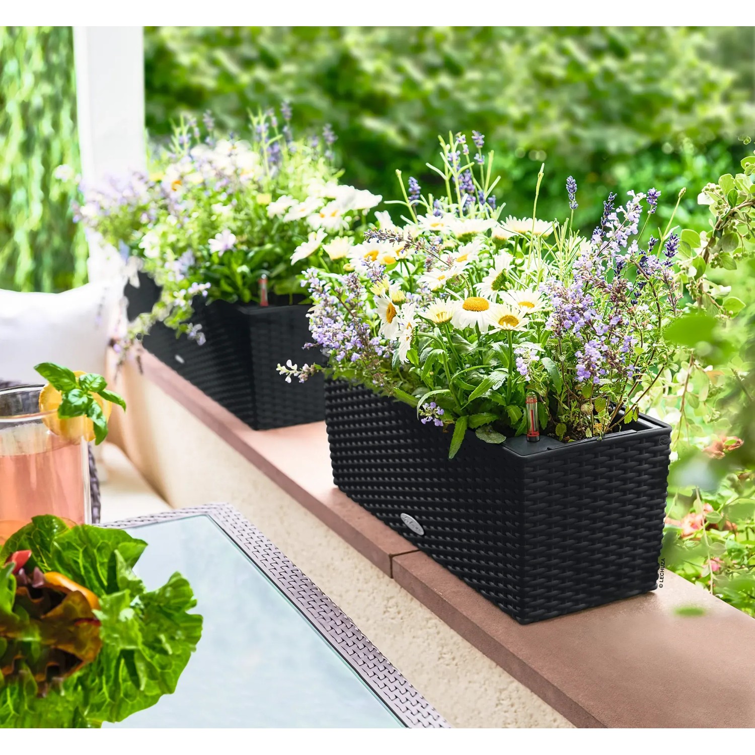 Lechuza Balconera Cottage 50, graphitschwarzer Blumenkasten mit Bewässerungssystem und Bepflanzung.