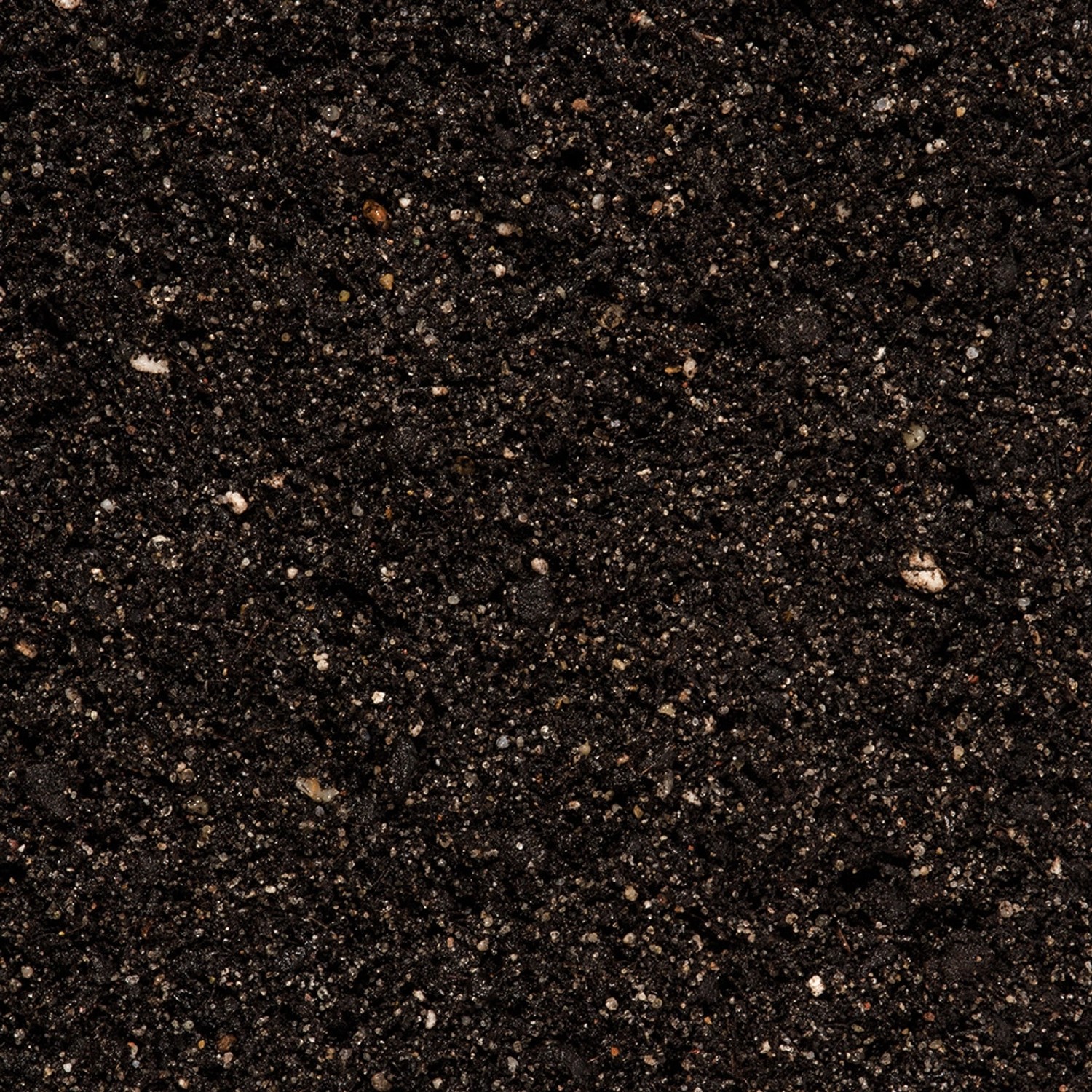 Nahaufnahme der Compo Cactea Kakteenerde, einer dunklen, feinkörnigen Spezialerde für Kakteen und Sukkulenten.
