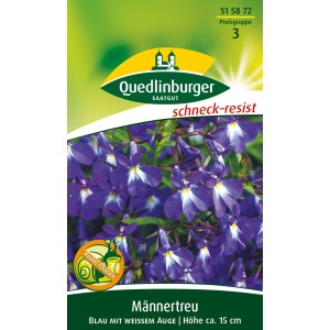 Quedlinburger Männertreu ''Blau mit weißem Auge'', Blumensamen für Beet und Balkon.