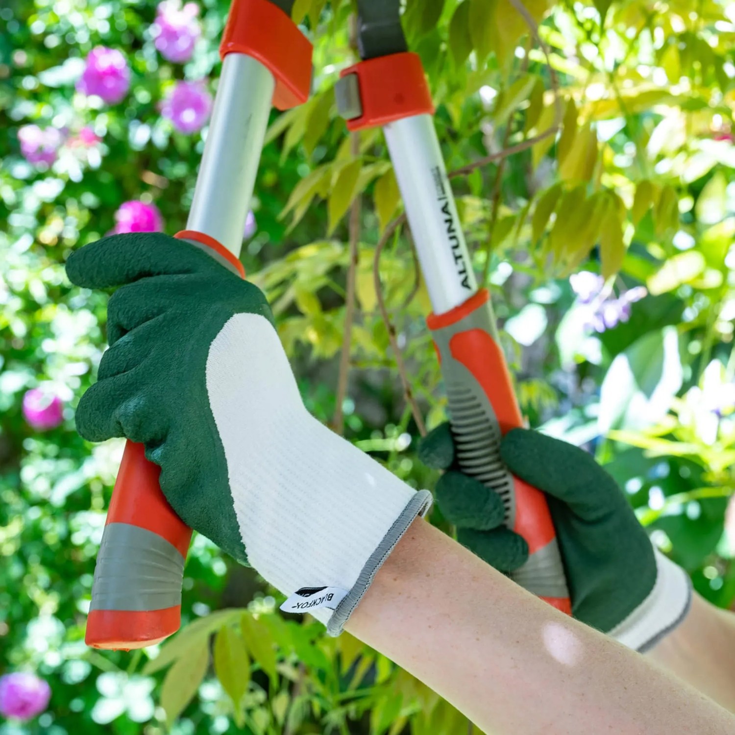 Grüne Blackfox Gartenhandschuhe Bamboo Plus Gr. 8 beim Beschneiden von Pflanzen.