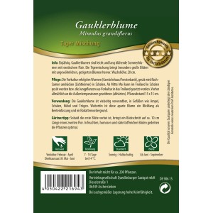 Samentüte Gauklerblume 'Tiger Mischung' von Quedlinburger, Sommerblume für Beet und Balkon.