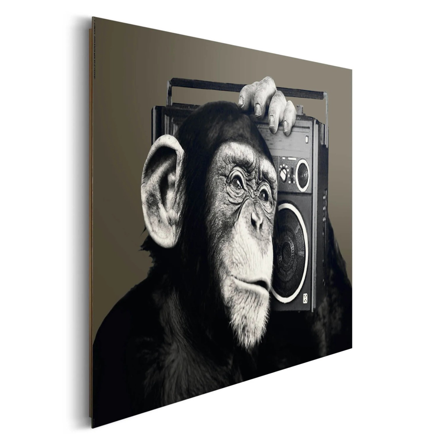 Wandtattoo Schimpanse 60x37 Cm Schwarz – Selbstklebend, Seidenmatt, Für Wand, Tür Oder Möbel