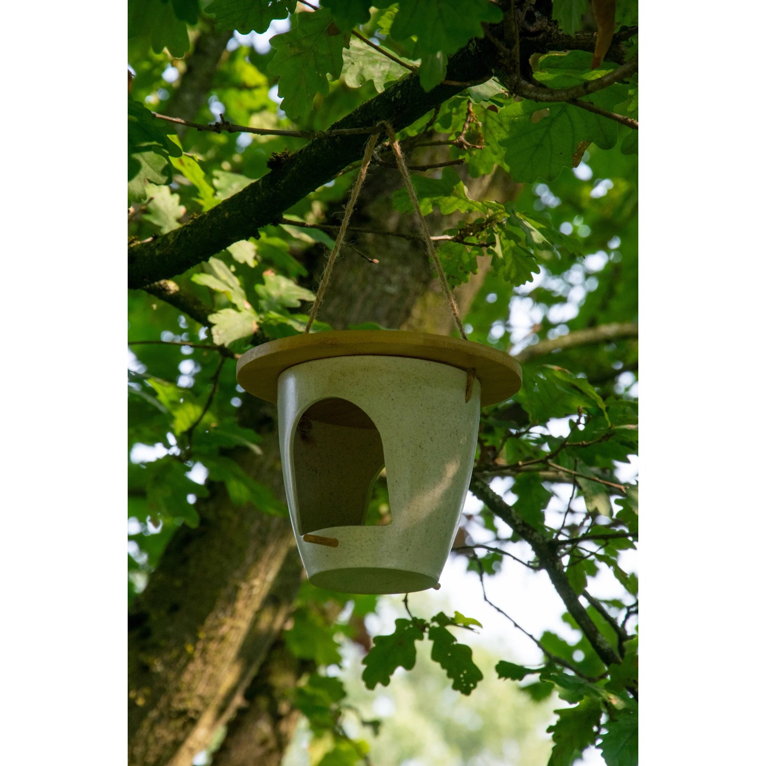 Dobar Vogelfutterspender Eco aus Pflanzenfasern, hängend an einem Baum.