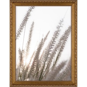 Goldener, verschnörkelter Holzbilderrahmen, 30x40 cm, im Barockstil. Ideal für Fotos und Kunstdrucke.