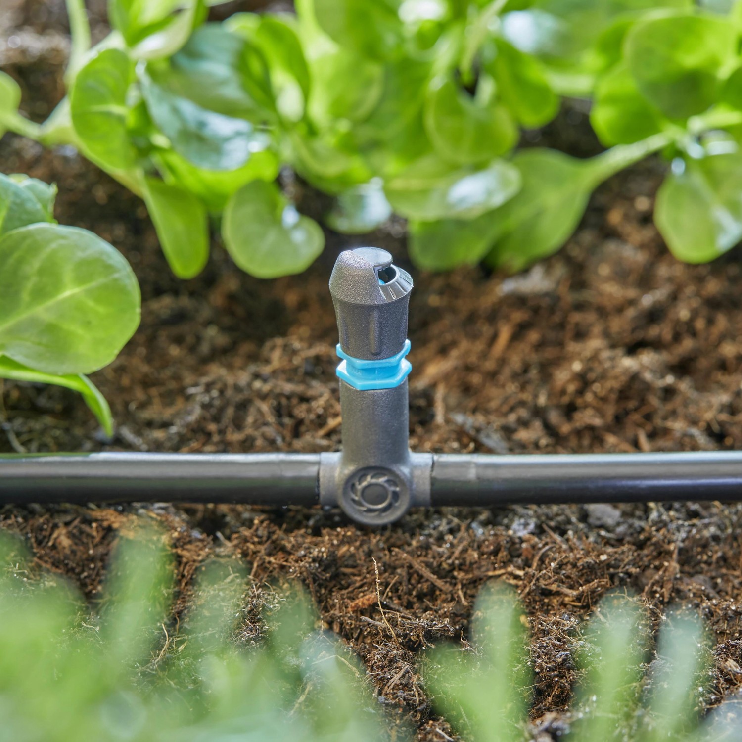 Gardena TStück für Sprühdüsen/Endtropfer 4,6 mm (3/16") 5 Stück kaufen