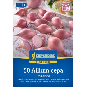 Kiepenkerl Steckzwiebel Rosanna, Gr. 12/21