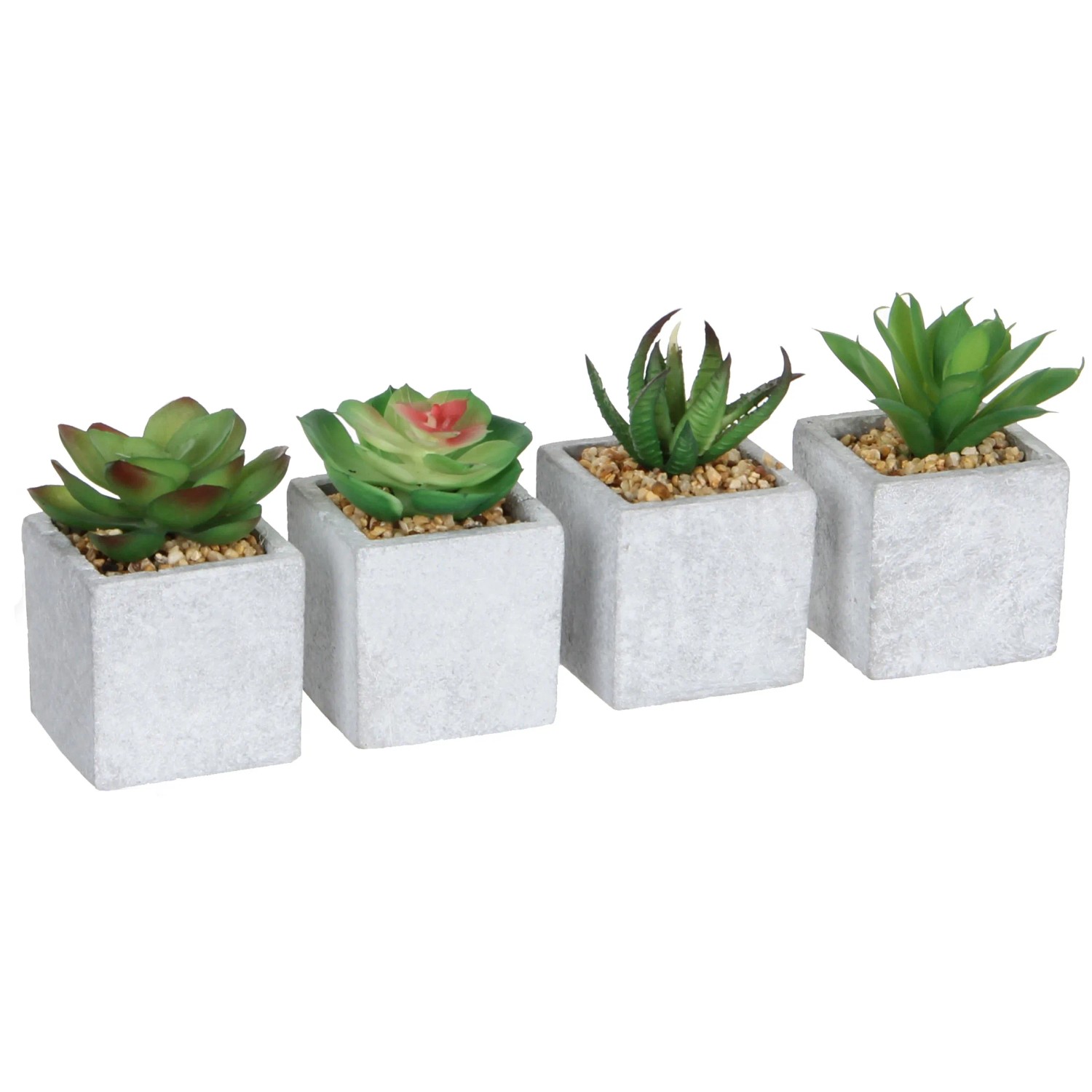 Mica Decorations Kunstpflanze Sukkulente Sortenauswahl im Topf  5 x 8 cm  Grn kaufen bei OBI