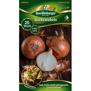 Quedlinburger Steckzwiebel 'Crusado', gelbe Speisezwiebel, frühe Sorte.