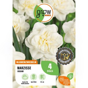 GROW by OBI Narzissen 'Obdam', gefüllte, weiße Blüten, 4 Stück Blumenzwiebeln für Frühjahrsblüte.
