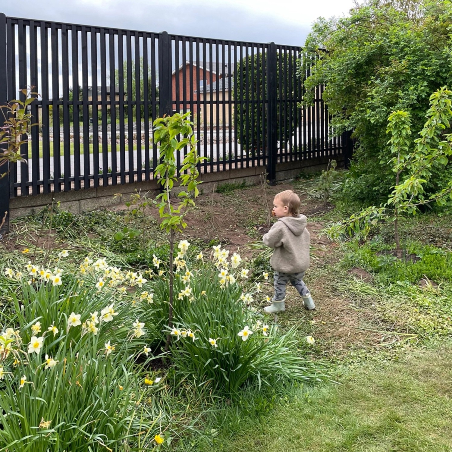 Schwarzer Sichtschutzzaun Nagano aus Nadelholz, 180x180 cm, im Garten mit Kind und Blumen.