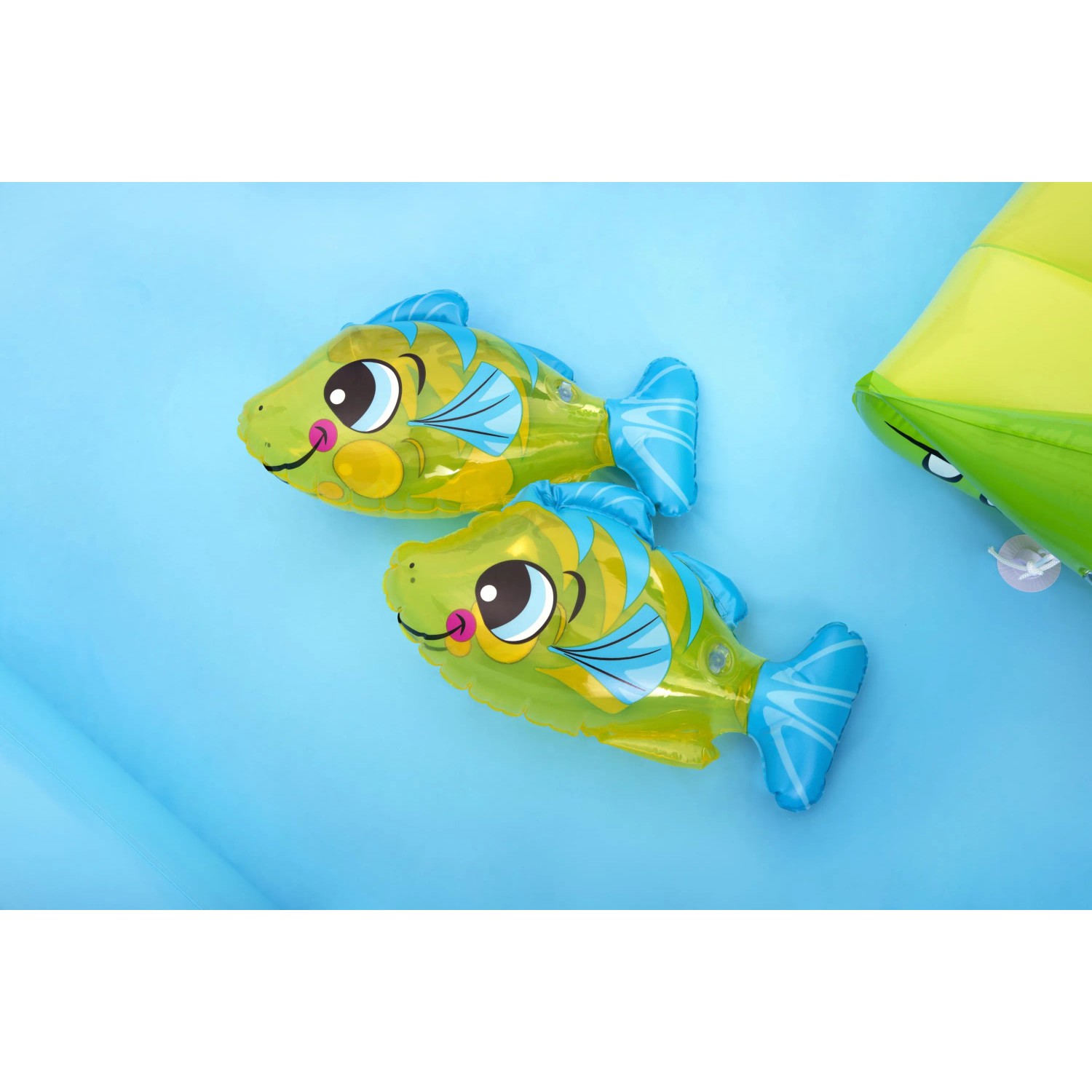 Detailaufnahme: Zwei Clownfische im Bestway Wasserspielcenter Aquarium.