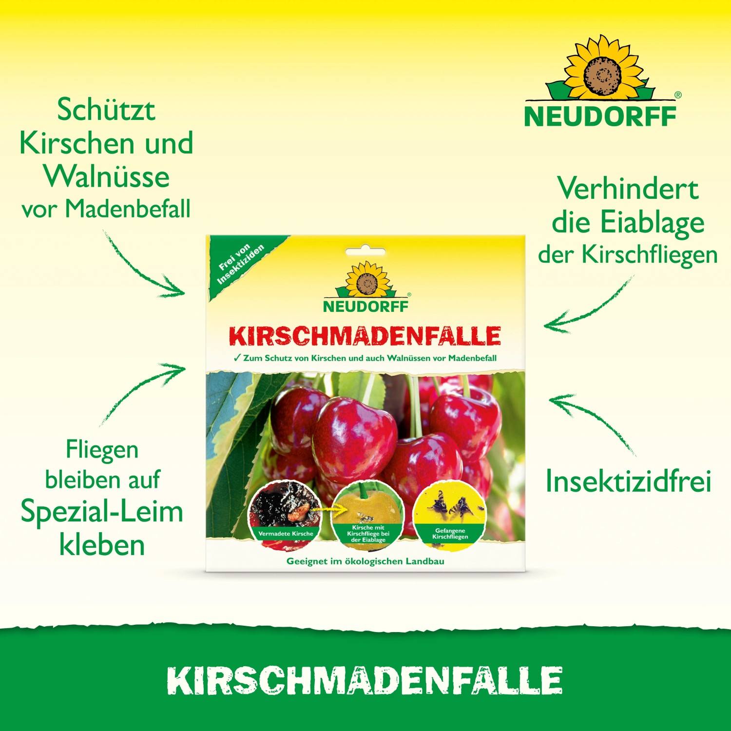 Neudorff Kirschmaden-Falle zur biologischen Schädlingsbekämpfung von Kirschfliegen.
