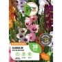 GROW by OBI Gladiolen Bicolor Mischung, Blumenzwiebeln mit bunten Blüten in Weiß, Rosa, Rot und Gelb.