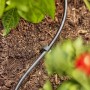 Gardena Verteilerrohr 4,6mm im Garten verlegt, Teil des Micro-Drip-Systems.