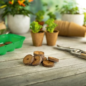 Braune Kokos Quelltabs (3,5 cm Ø) auf Holz, bereit zur Pflanzenanzucht. Im Hintergrund junge Pflanzen in Töpfen.