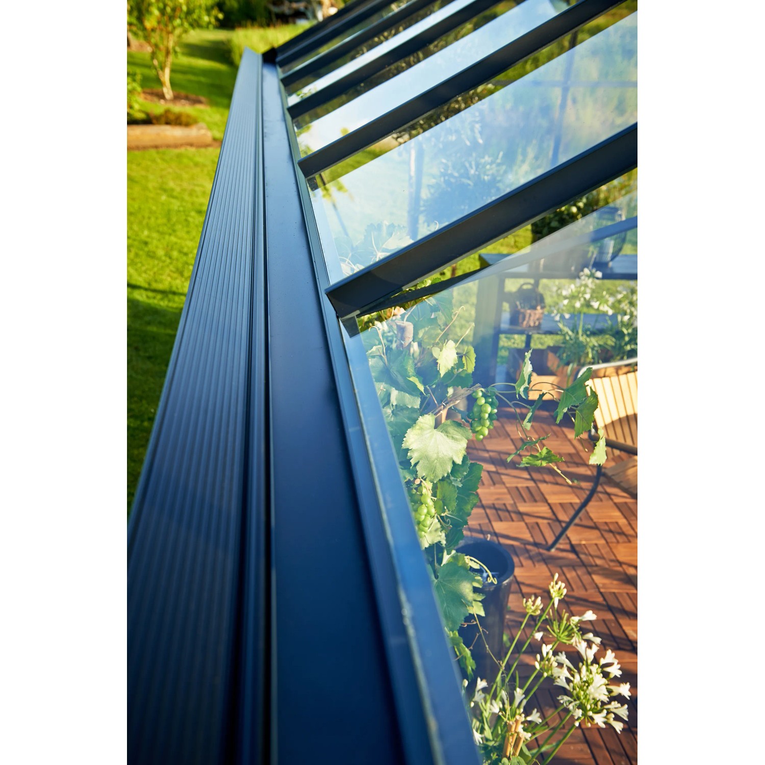 Detailaufnahme: Schwarzes Juliana Gewächshaus Orangerie 15 mit Pflanzen im Inneren.