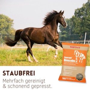 Braunes Pferd galoppiert auf Wiese neben Supravit Heucobs Sack. Staubfreier Heuersatz für Pferde.
