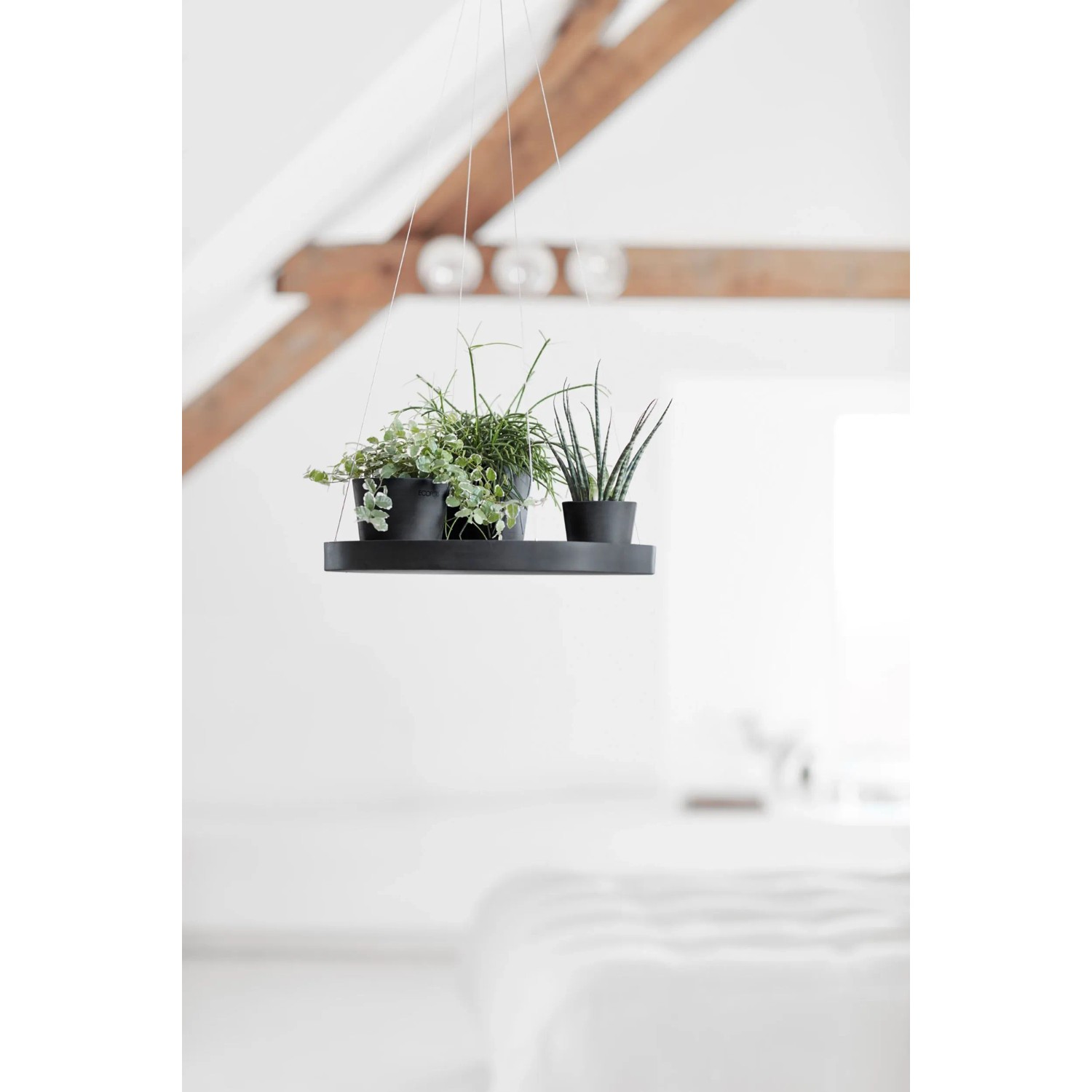 Ecopots Untersetzer Hngend Dunkelgrau 36 cm x 3 cm kaufen bei OBI