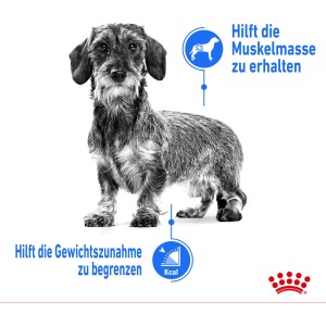 Royal Canin Light Weight Care Mini Trockenfutter für kleine Hunde mit Übergewicht.