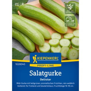 Kiepenkerl Salatgurke Delistar F1 Saatgut: Hellgrüne, knackige Midi-Gurken auf Verpackung.