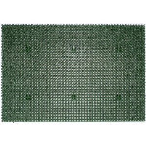 Grüne Astra Fußmatte Season, 40x60 cm, für den Eingangsbereich. Schmutzabweisend und robust.