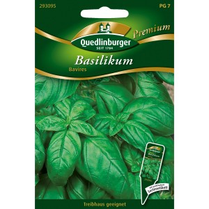 Quedlinburger Basilikum "Bavires" Loses Saatgut