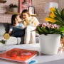 Weißes Lechuza Classico Color 21 Pflanzgefäß mit rosa Blumen auf Tisch im Wohnraum.