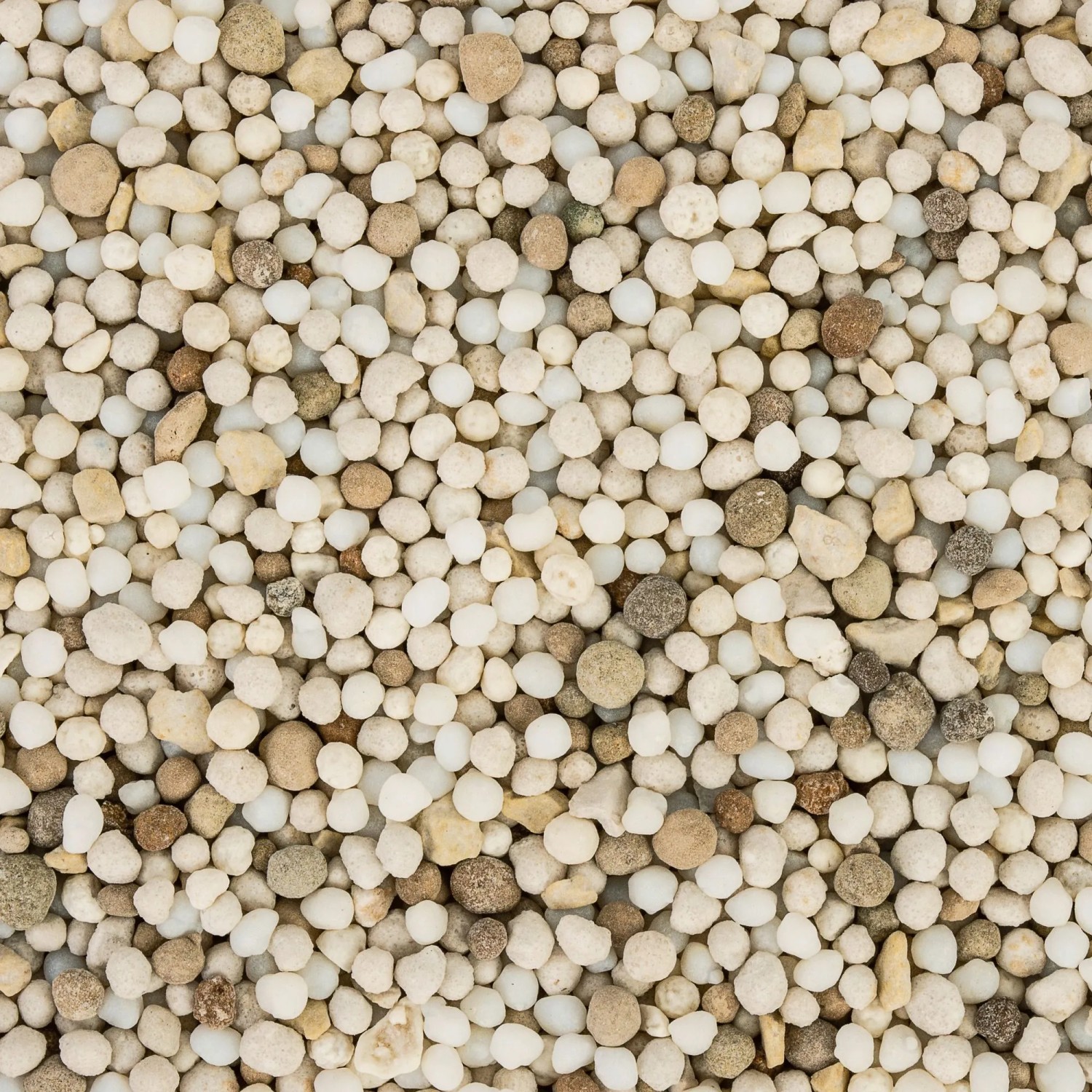 Compo Mediterrane Pflanzen Langzeit-Dnger 1,5 kg kaufen bei OBI