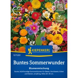 Kiepenkerl Blumenmischung Buntes Sommerwunder: Vielfältige, farbenfrohe Sommerblumen für Beet und Kübel.