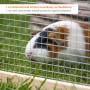 Meerschweinchen im 4-eckigen Freilaufgehege aus Holz mit Gitter